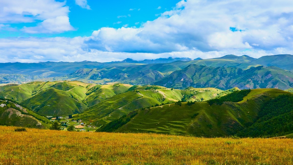 夏末秋初的八美