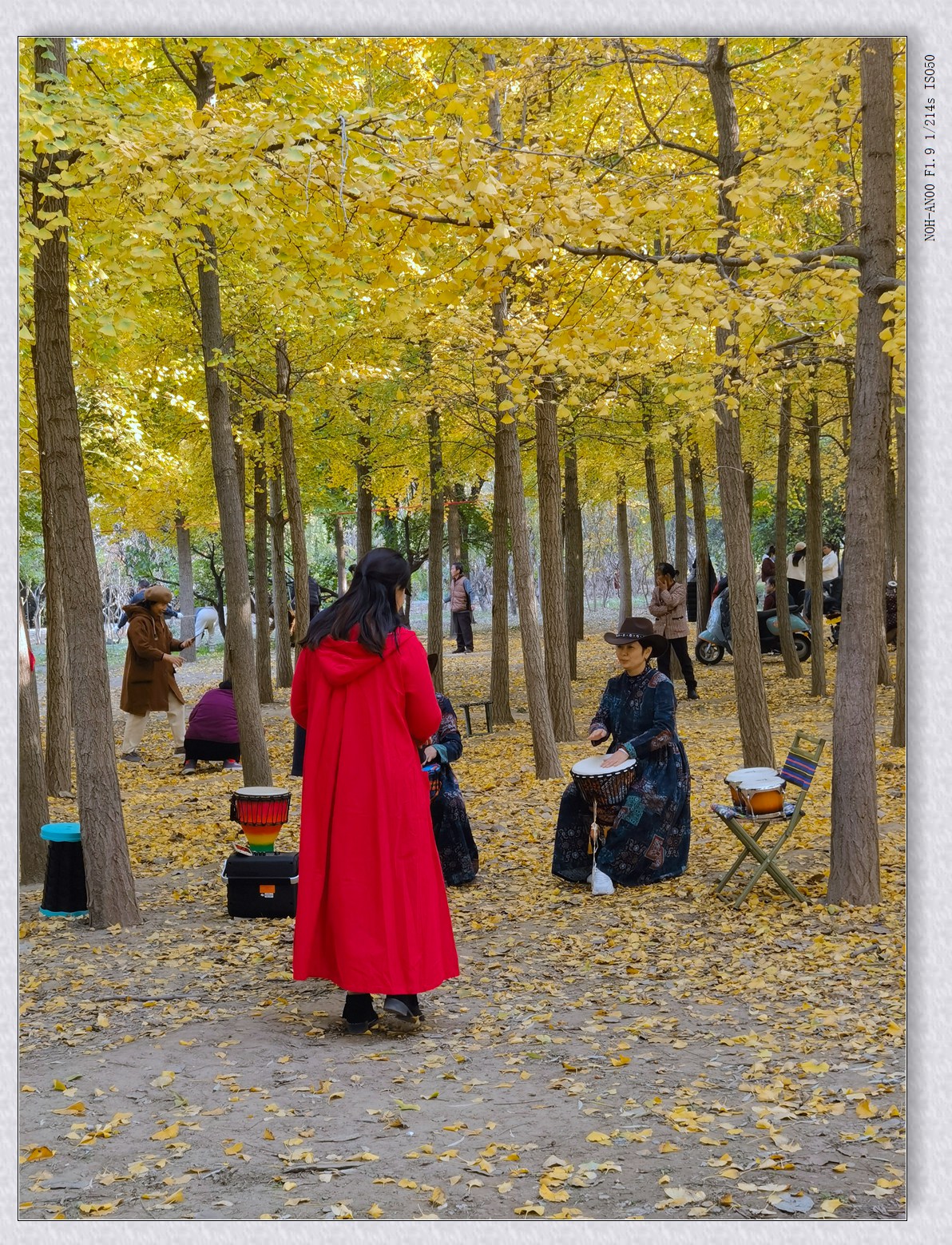 热闹的小树林【2024-169】