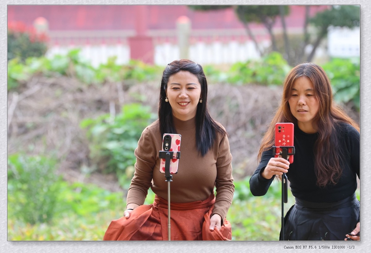 热闹的小树林【2024-169】