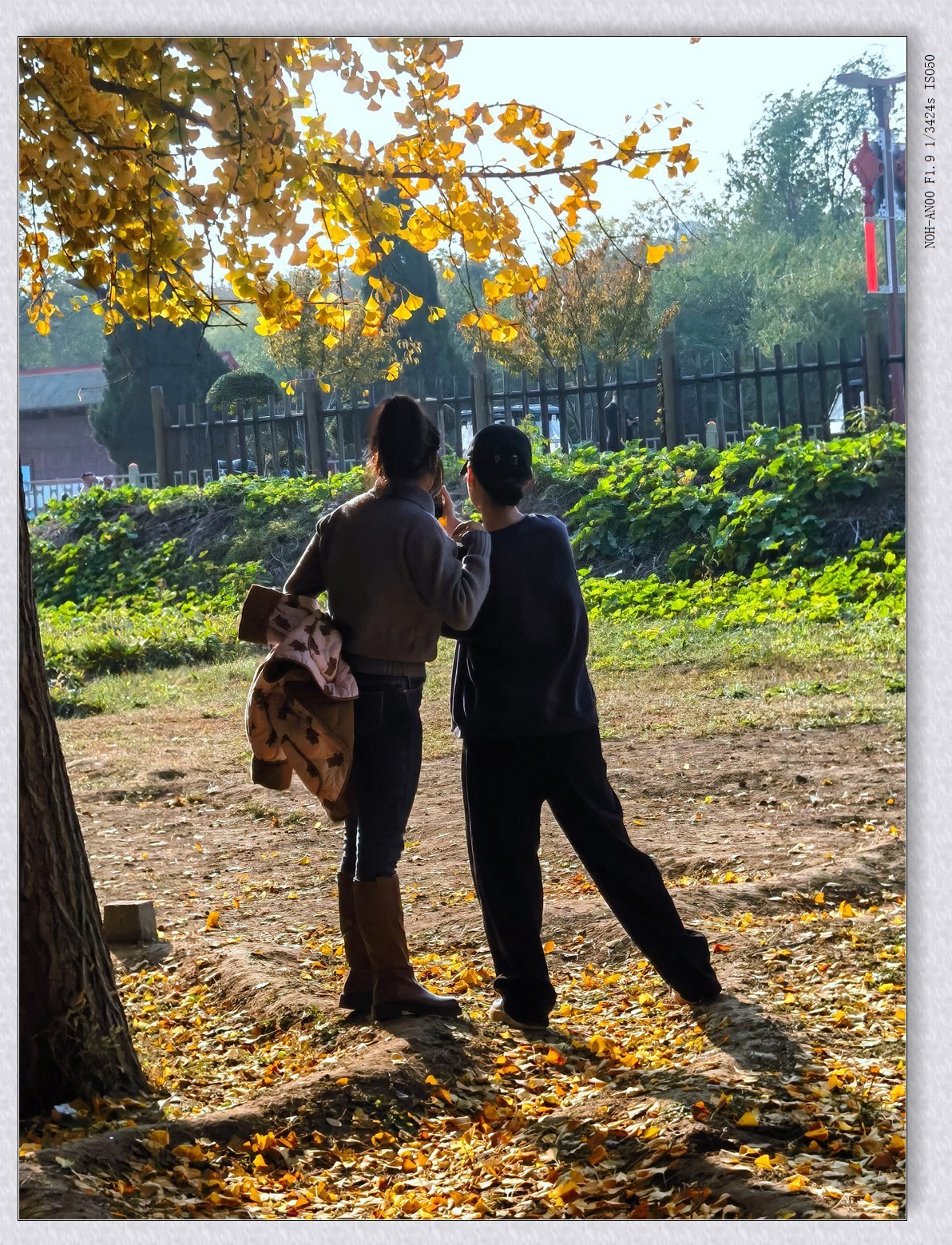 热闹的小树林【2024-169】