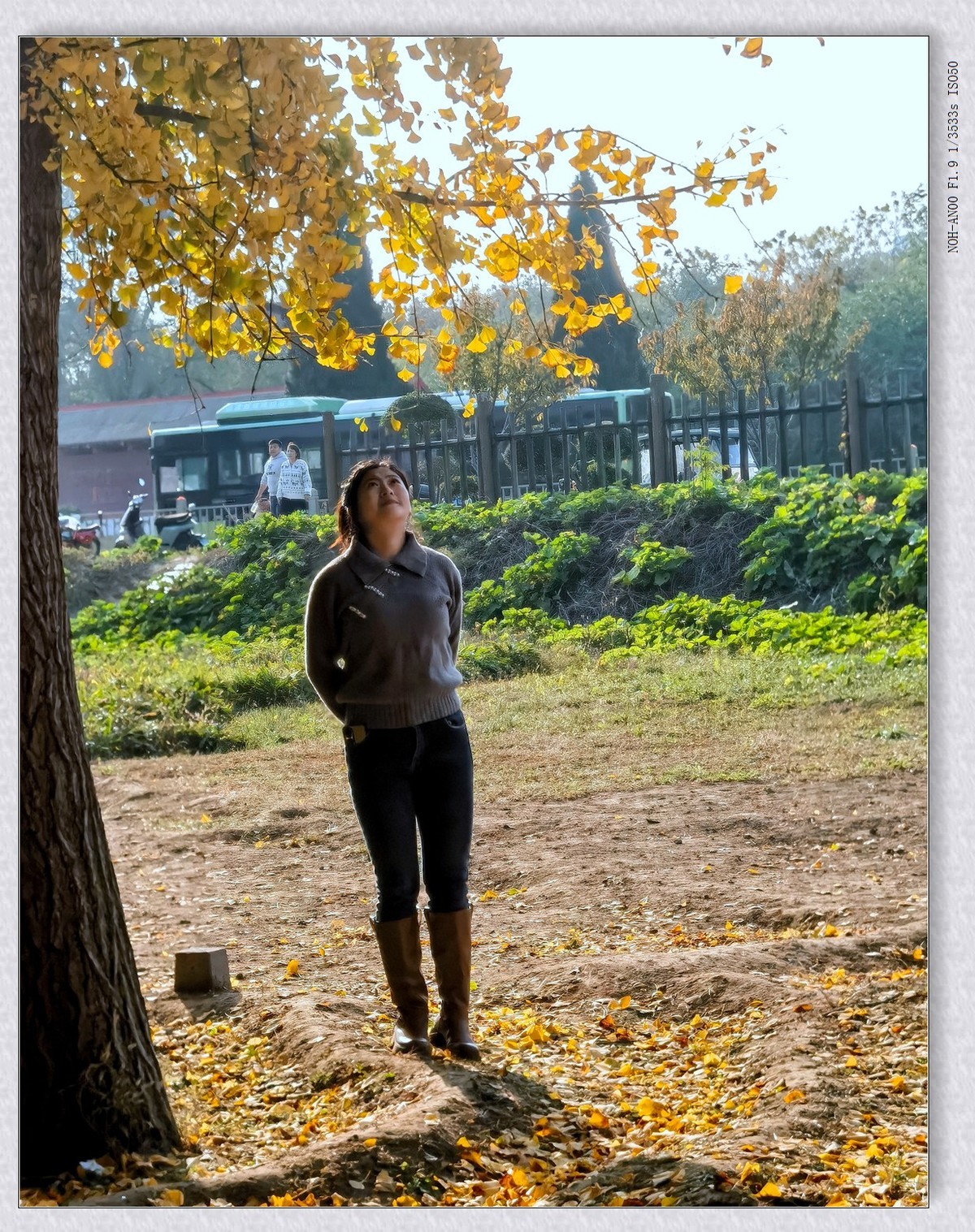 热闹的小树林【2024-169】