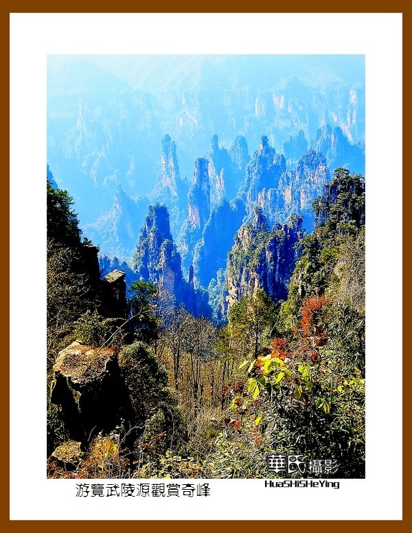 2021南行慢游（湖南181）—游览武陵源观赏奇峰之十四（张家界）