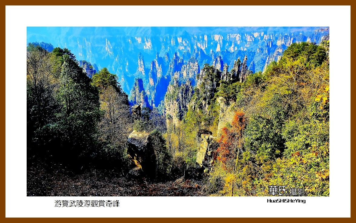 2021南行慢游（湖南181）—游览武陵源观赏奇峰之十四（张家界）