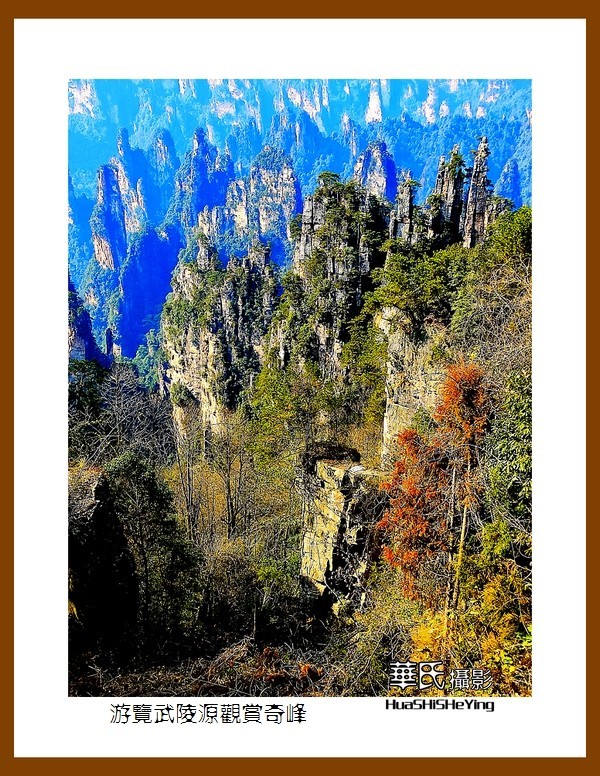 2021南行慢游（湖南181）—游览武陵源观赏奇峰之十四（张家界）