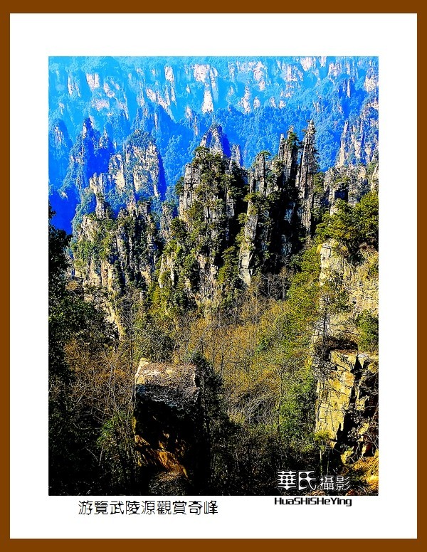 2021南行慢游（湖南181）—游览武陵源观赏奇峰之十四（张家界）