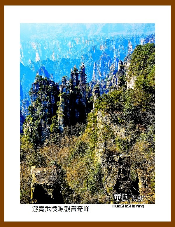 2021南行慢游（湖南181）—游览武陵源观赏奇峰之十四（张家界）