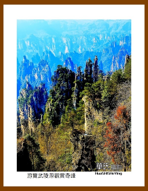 2021南行慢游（湖南181）—游览武陵源观赏奇峰之十四（张家界）