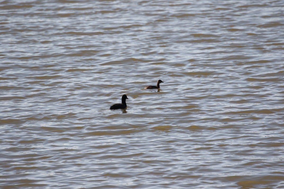 公园小息的人们