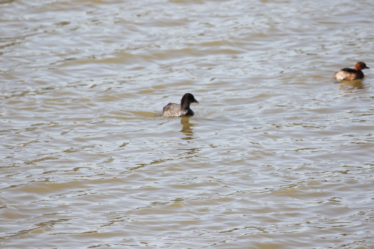 公园小息的人们