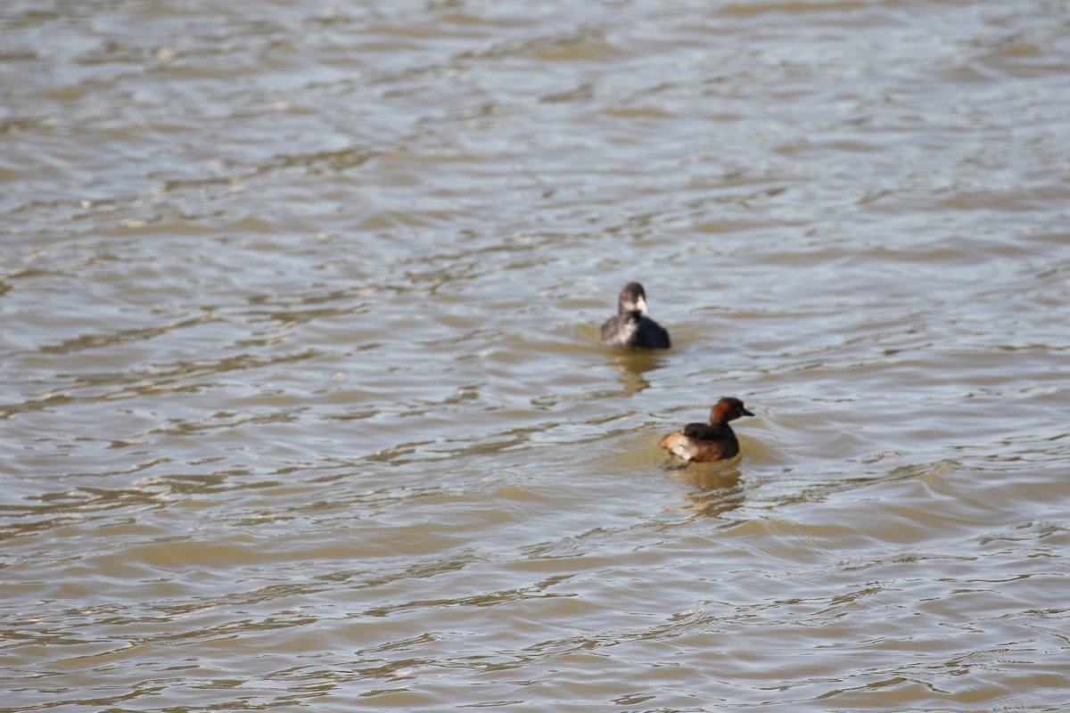 公园小息的人们