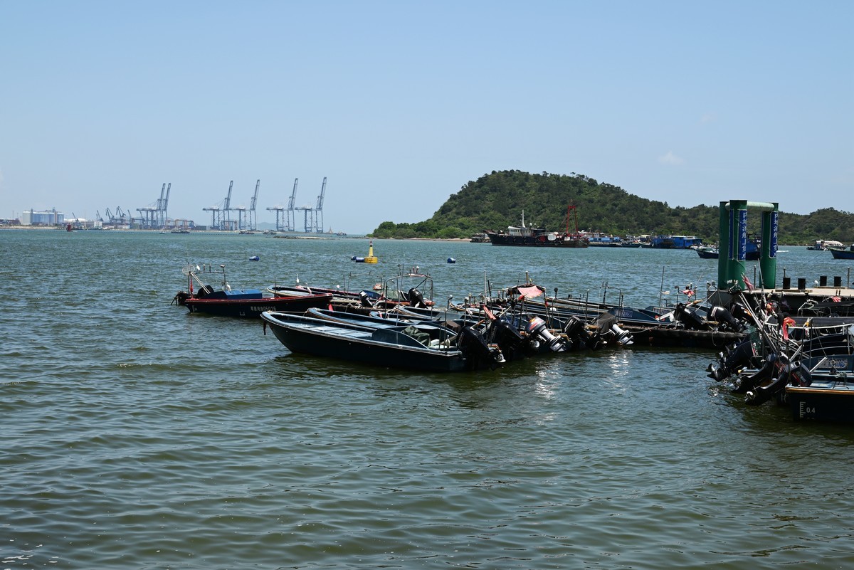 初夏热得花都开了！