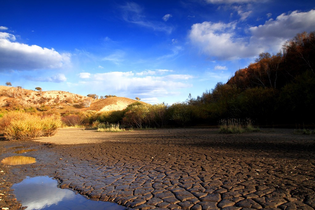 最美草原看吧上