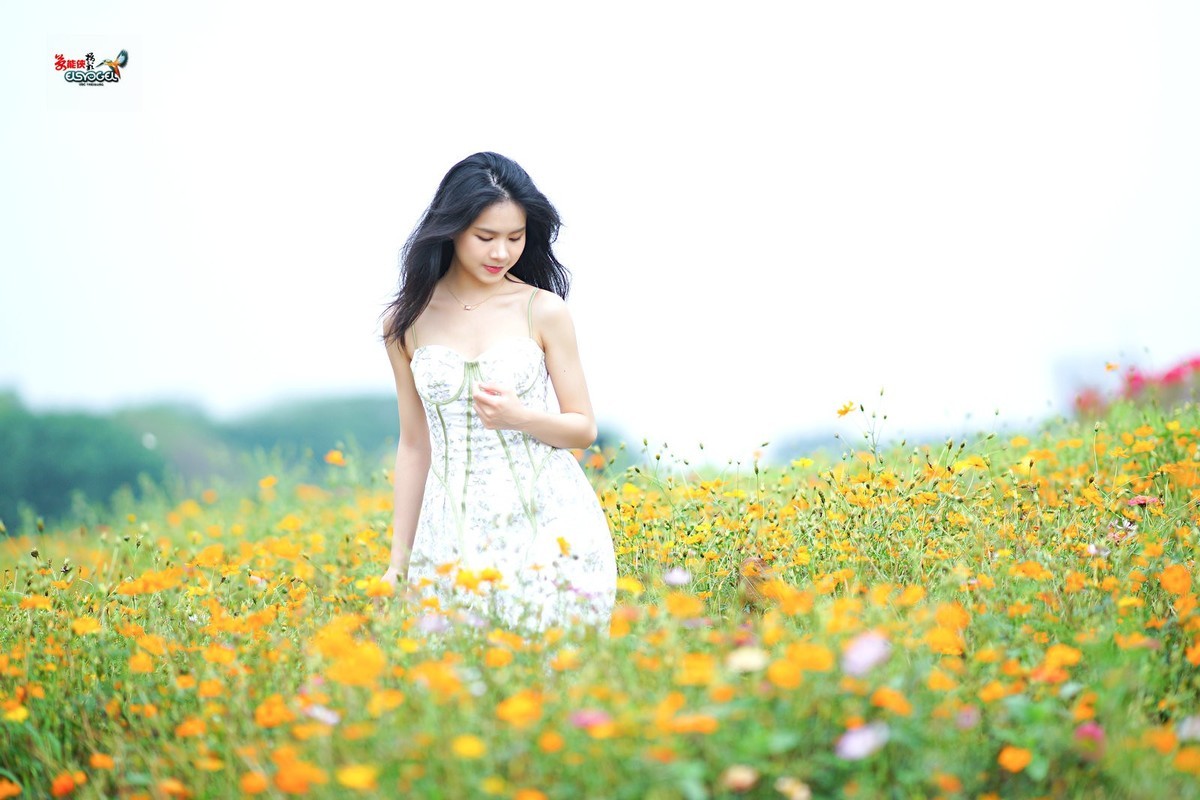 【花海阳光少女】---淑霖