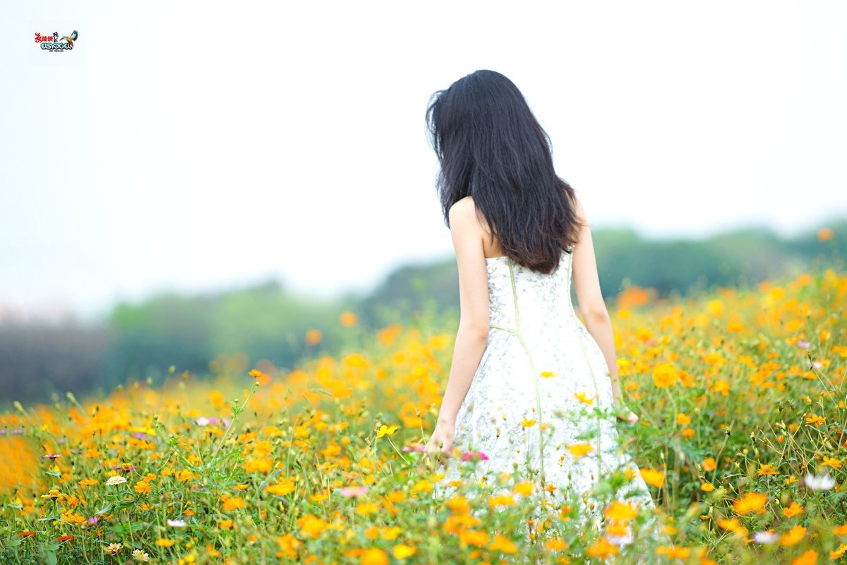 【花海阳光少女】---淑霖