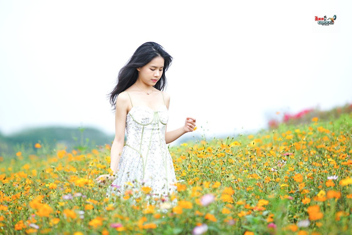 【花海阳光少女】---淑霖