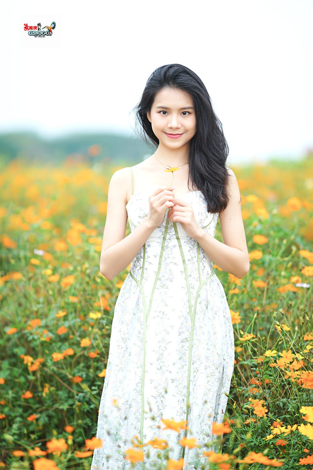 【花海阳光少女】---淑霖