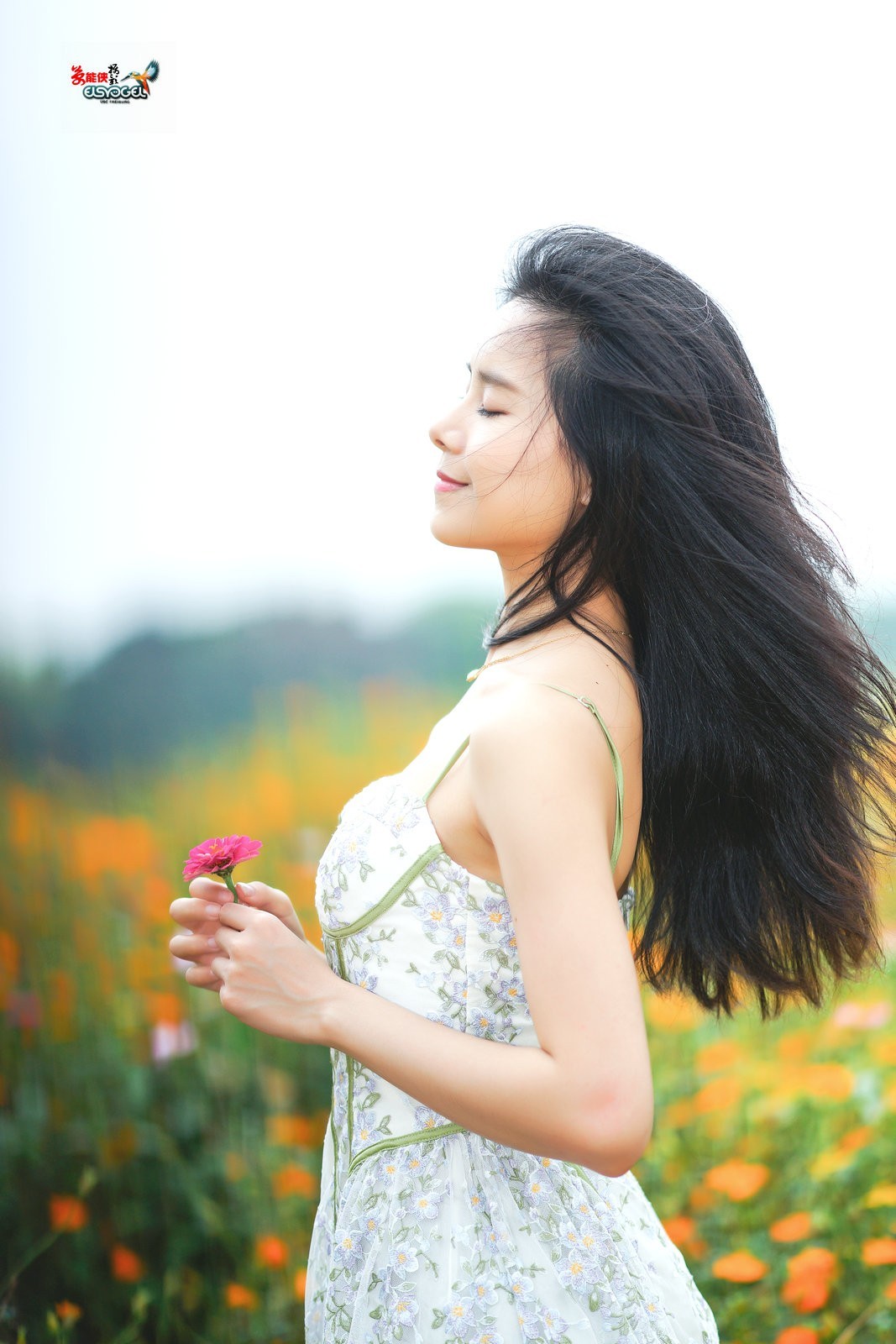 【花海阳光少女】---淑霖