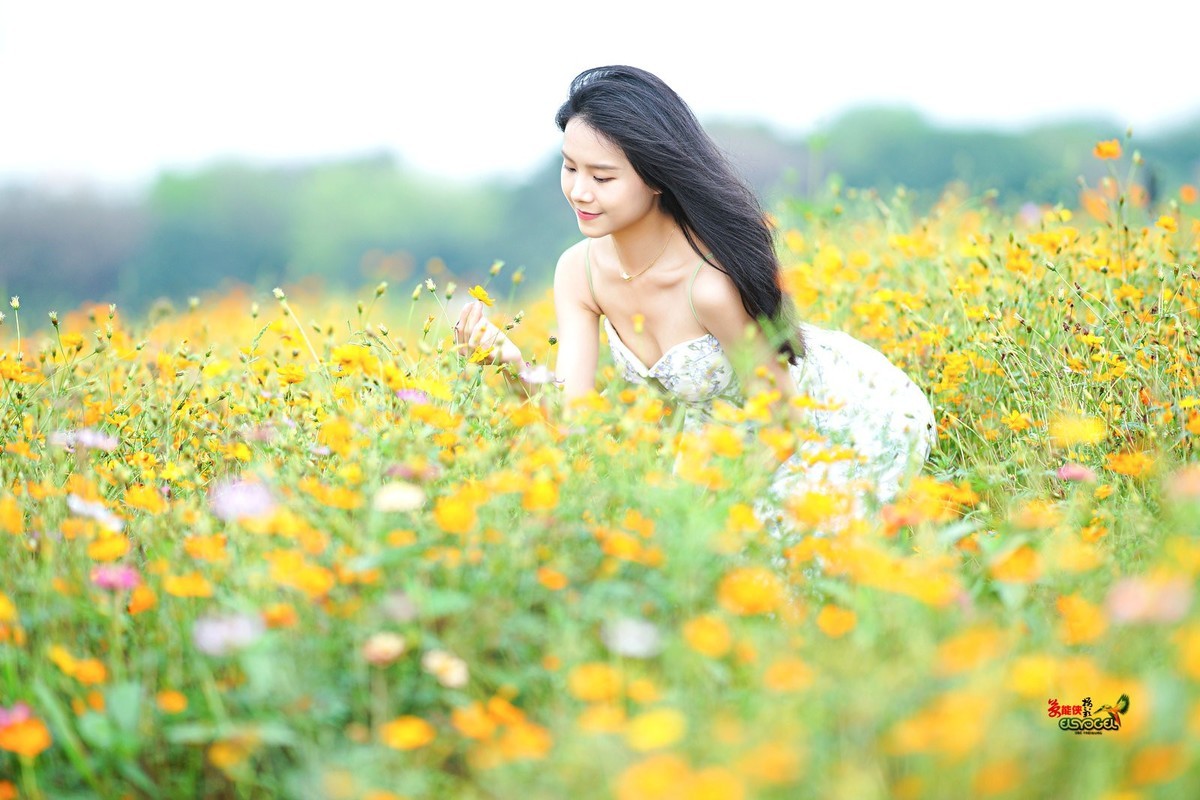 【花海阳光少女】---淑霖
