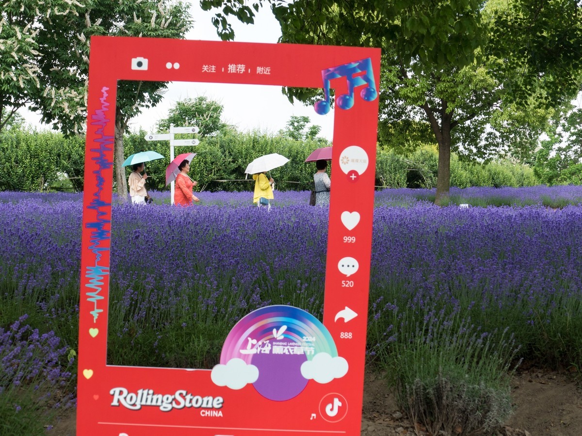 上海薰衣草公园（1）