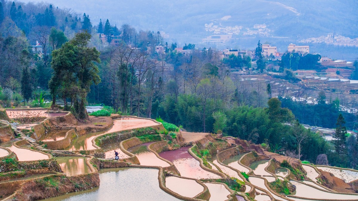 元 阳 、 元 阳 ------ 坝 达 梯 田 （ 九 ）