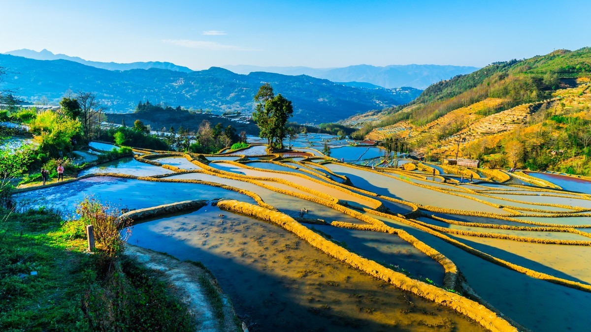 元 阳 、 元 阳 ------ 坝 达 梯 田 （ 九 ）