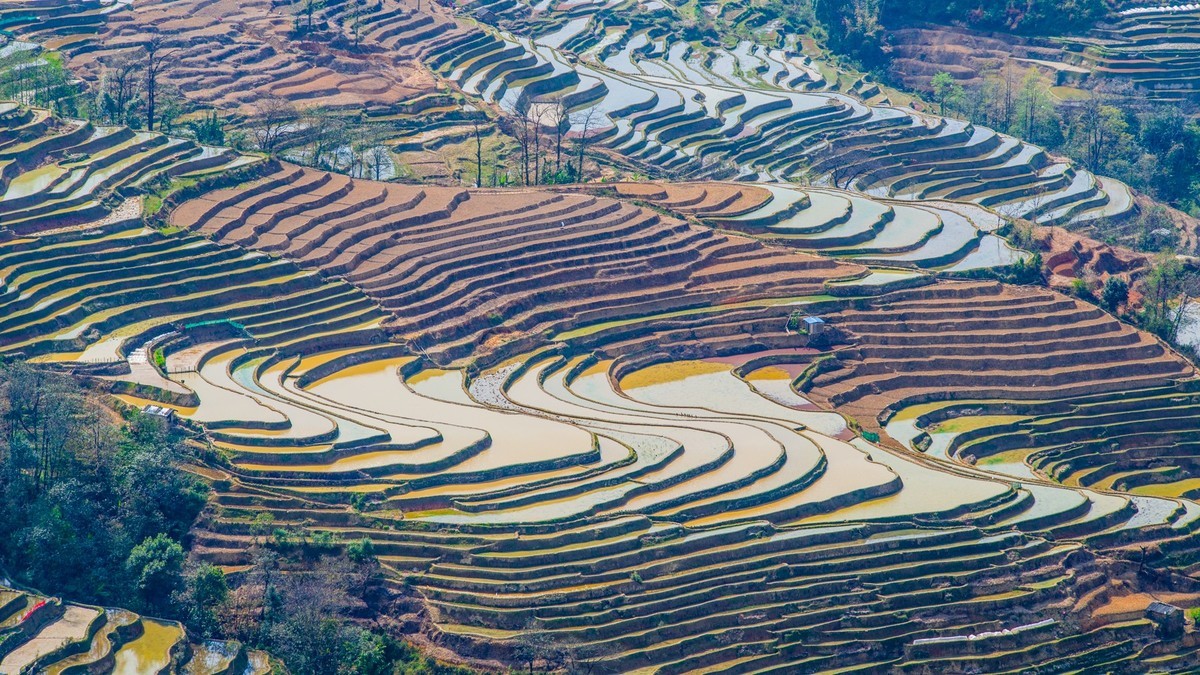 元 阳 、 元 阳 ------ 坝 达 梯 田 （ 九 ）