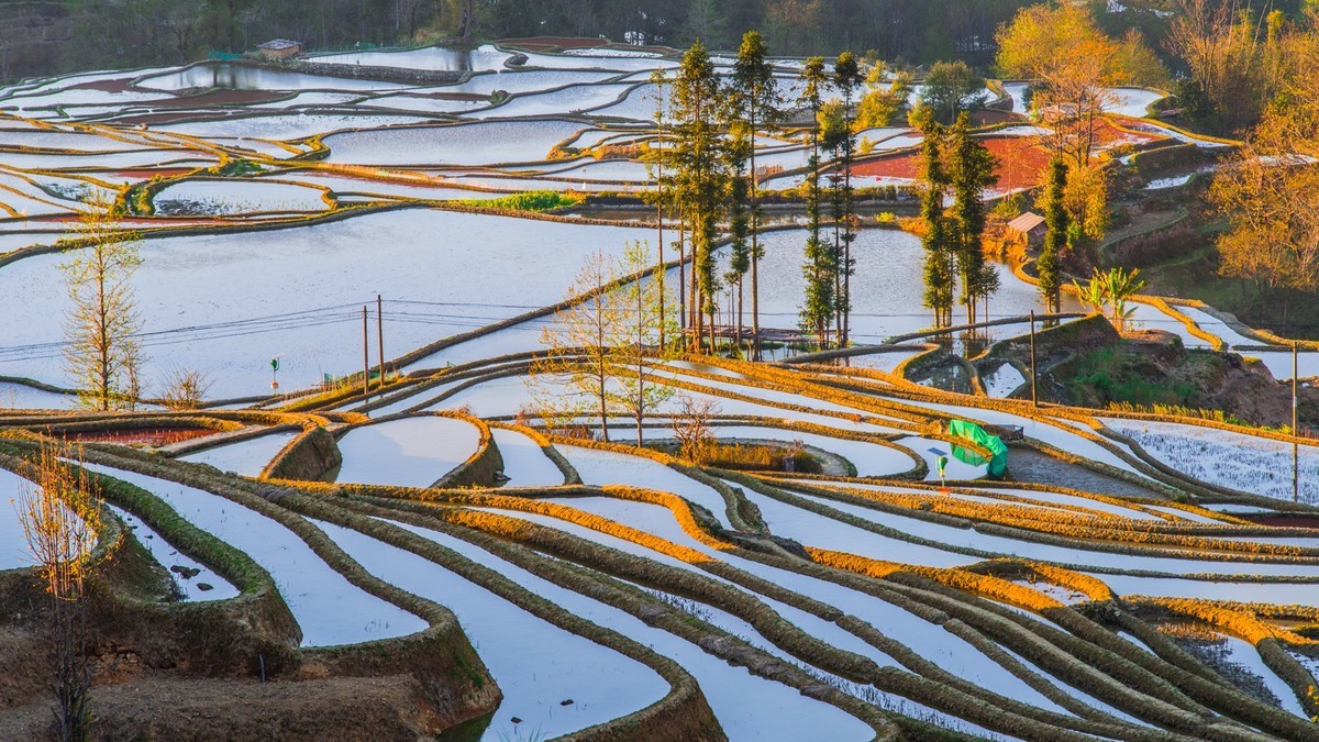 元 阳 、 元 阳 ------ 坝 达 梯 田 （ 九 ）