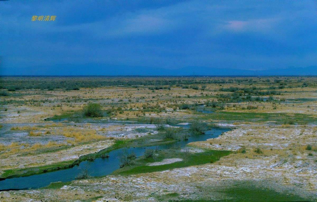 早春北疆之旅（102）：路遇胡杨林—1