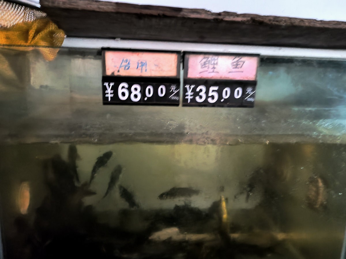 2024夏 海南环岛行（182）在梧州吃西江鱼