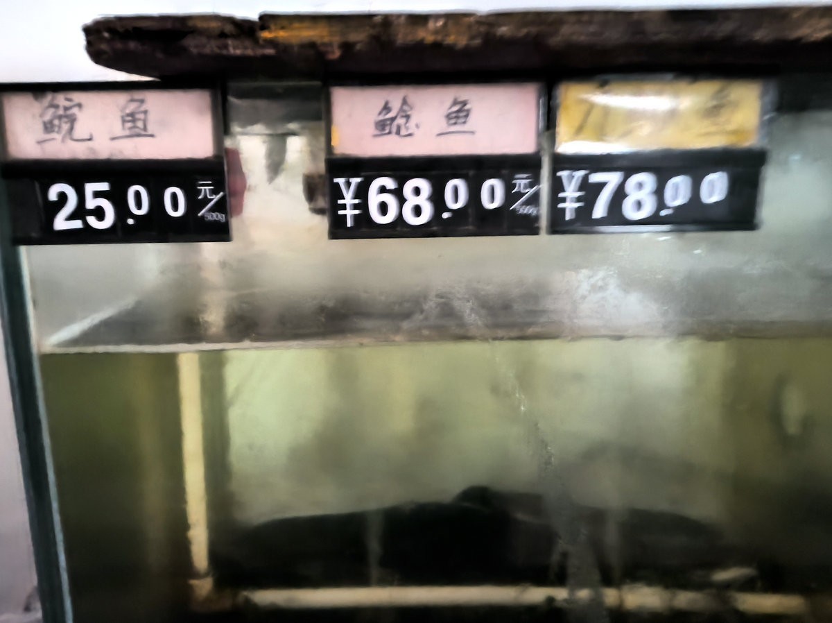 2024夏 海南环岛行（182）在梧州吃西江鱼