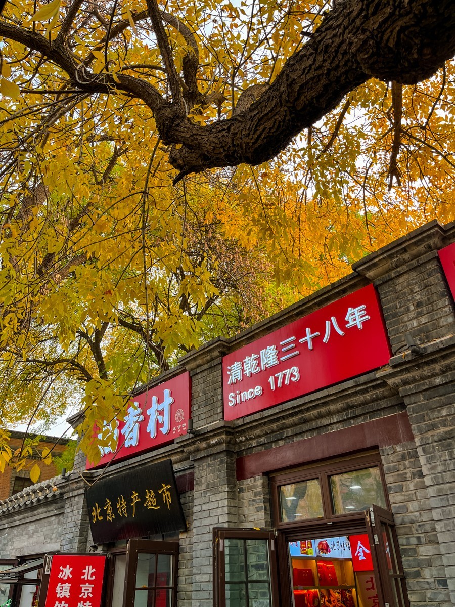 2024年第0850贴-京城秋景纪实游拍（1111）