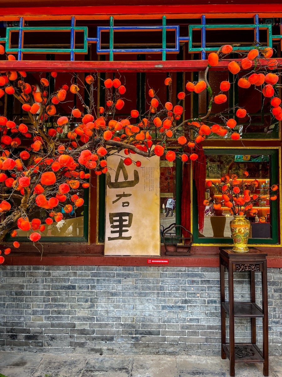 2024年第0850贴-京城秋景纪实游拍（1111）