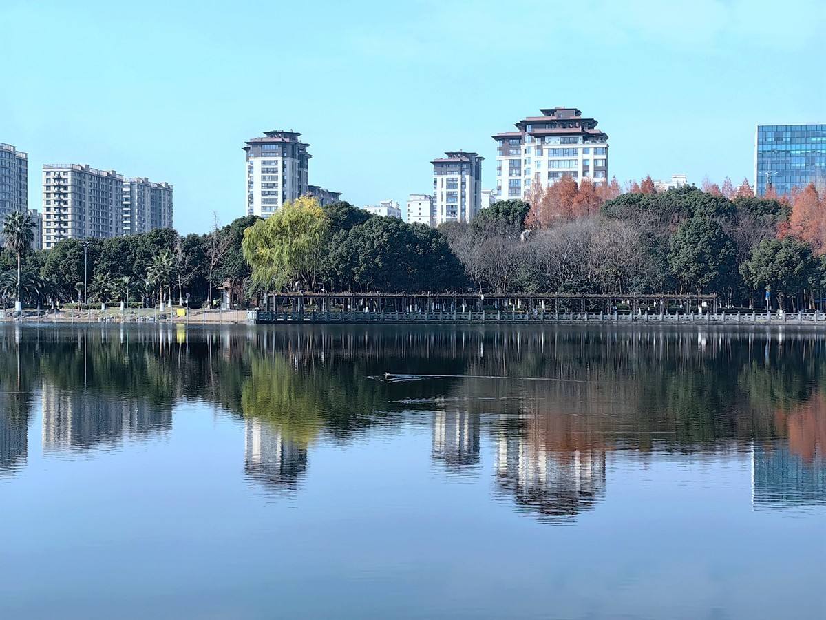 冬日里的宁波日湖公园（1）