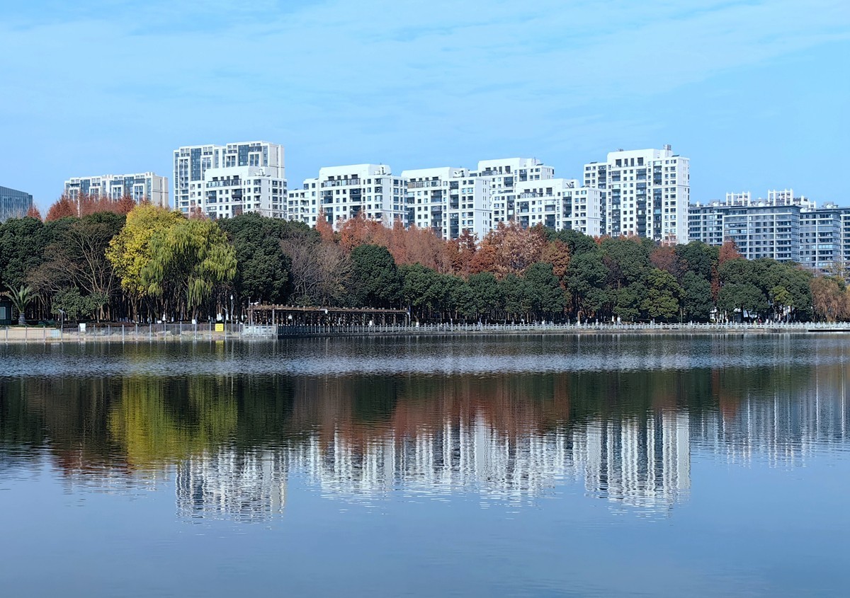冬日里的宁波日湖公园（1）