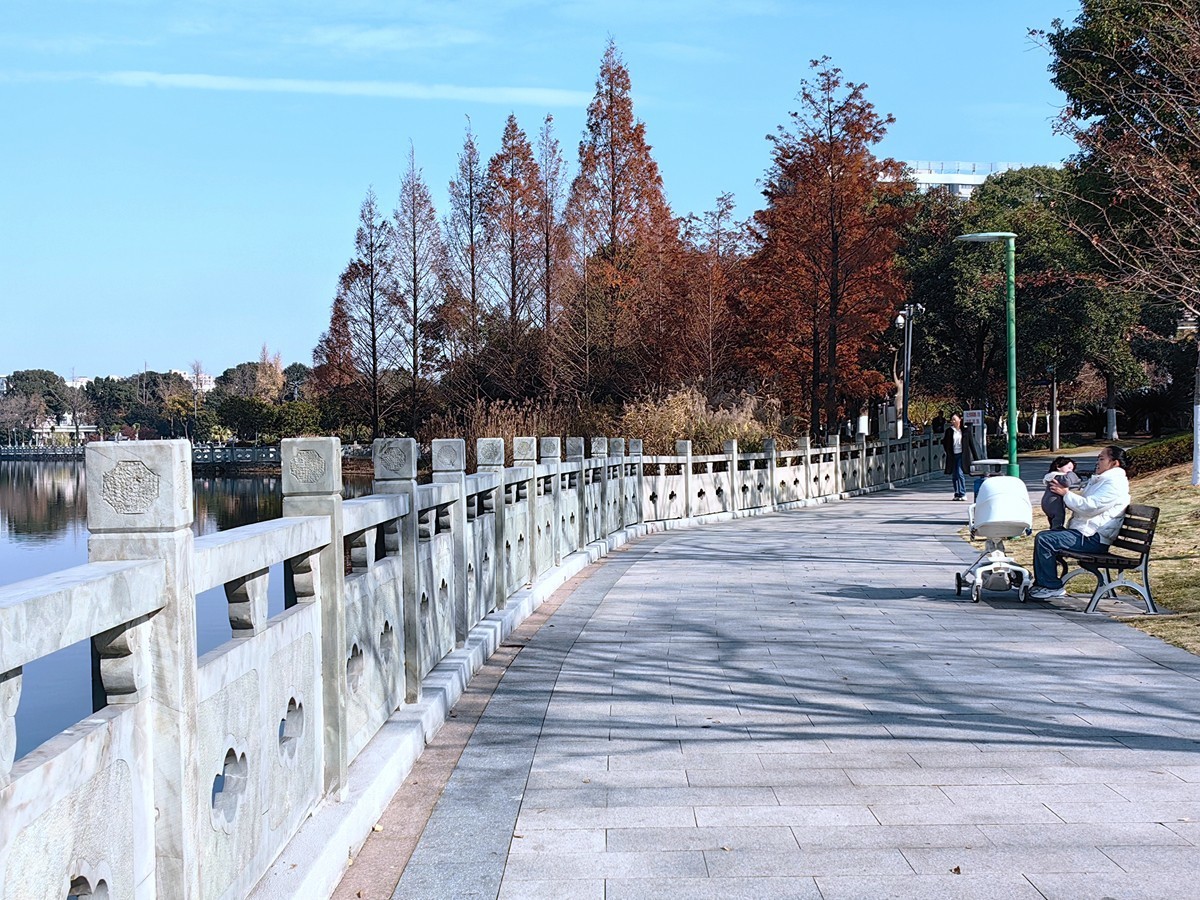 冬日里的宁波日湖公园（1）