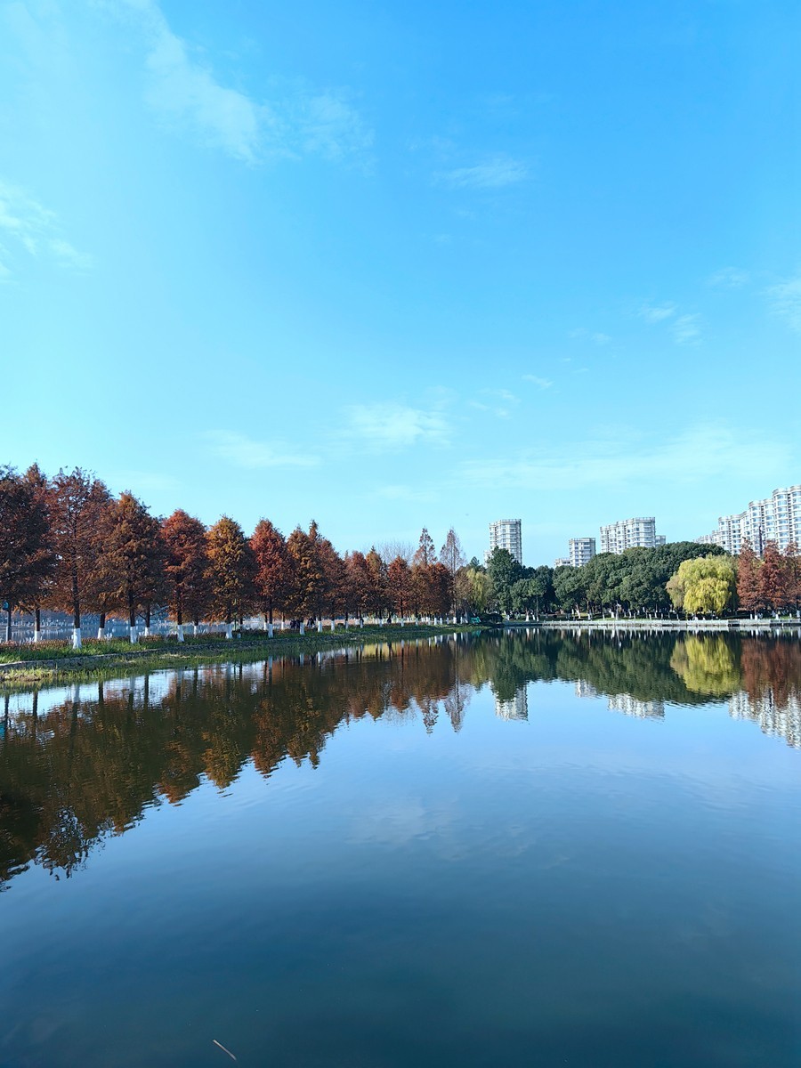 冬日里的宁波日湖公园（1）