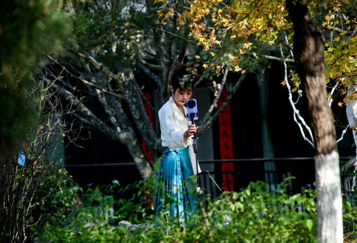 初冬——公园抓拍