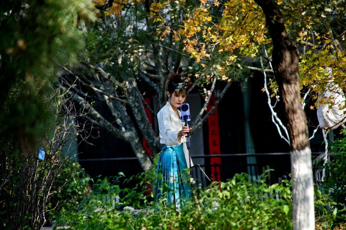 初冬——公园抓拍