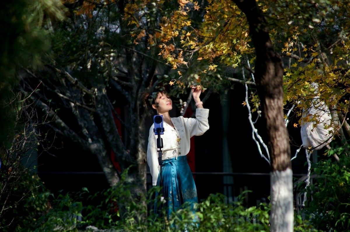 初冬——公园抓拍