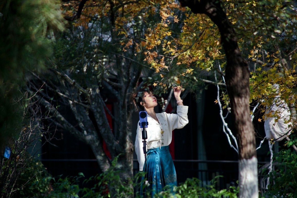 初冬——公园抓拍