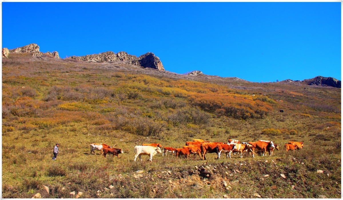 国庆节到河北-----这么近  那么美！
