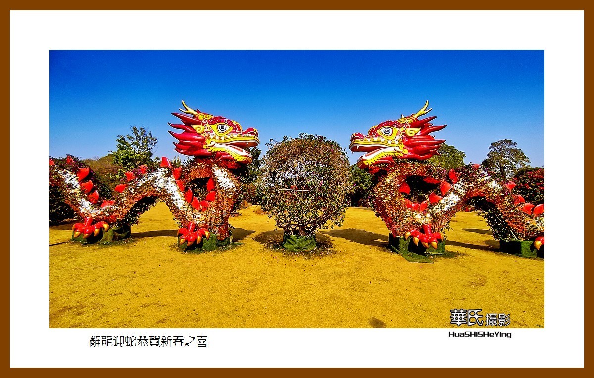 2025辞龙迎蛇恭贺新春之喜——青秀山迎春灯会（广西南宁）