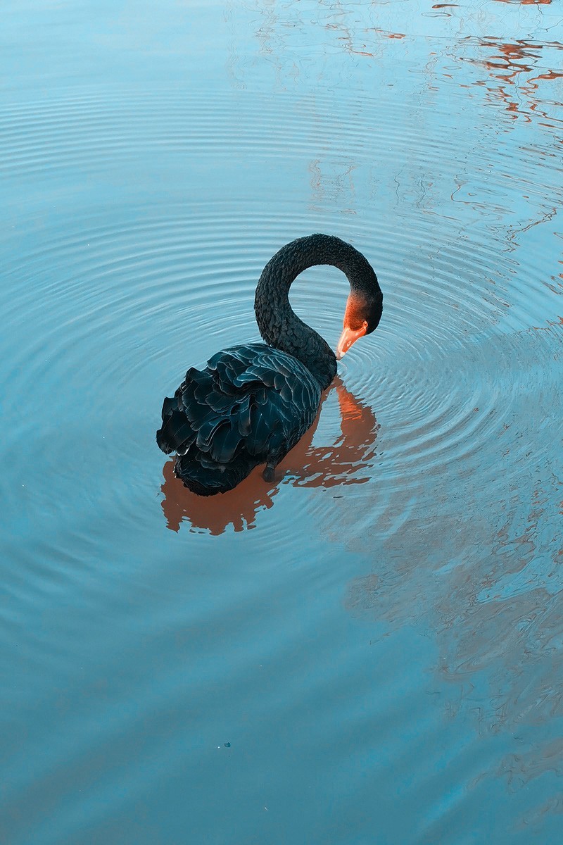 后期练习——青橙色调