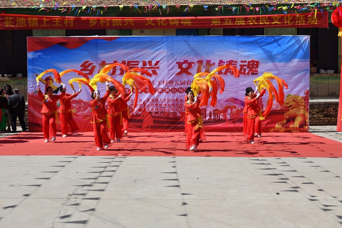 乡村振兴，文化铸魂--2025长池镇上王村第五届农民艺术活动（14）