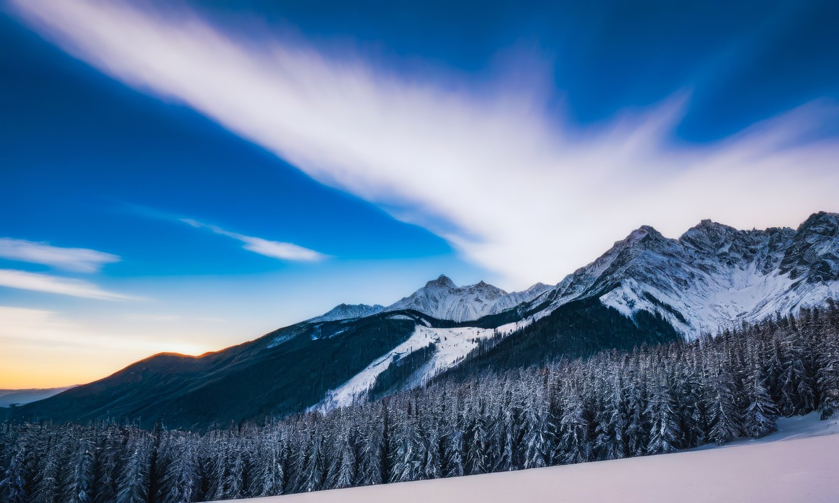 在宁静中寻找生命的答案