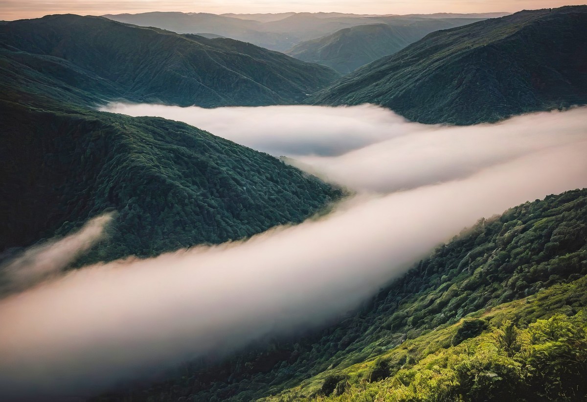 在宁静中寻找生命的答案