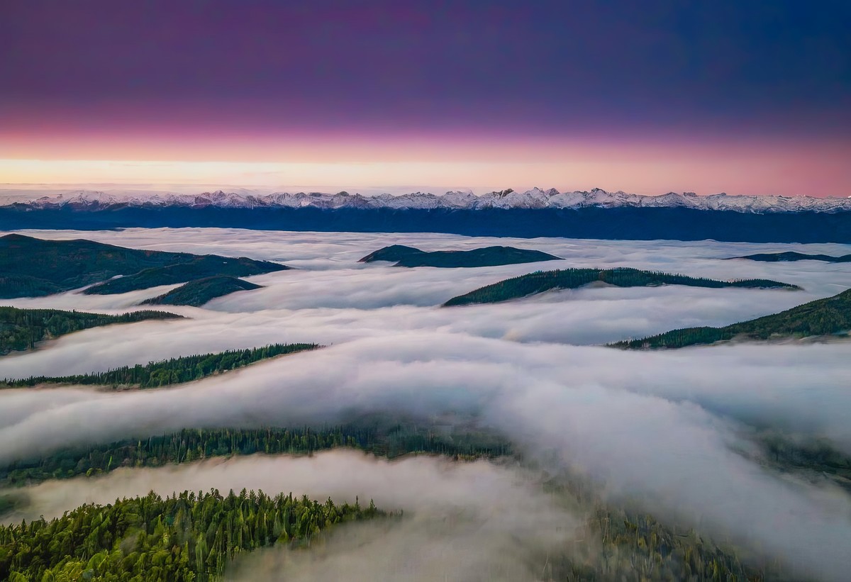 在宁静中寻找生命的答案