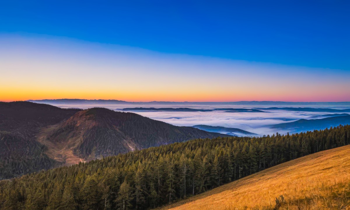 在宁静中寻找生命的答案