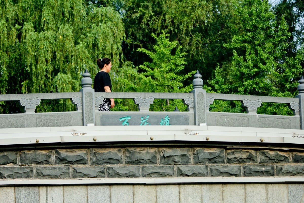 杂拍——明湖夏日 （三）