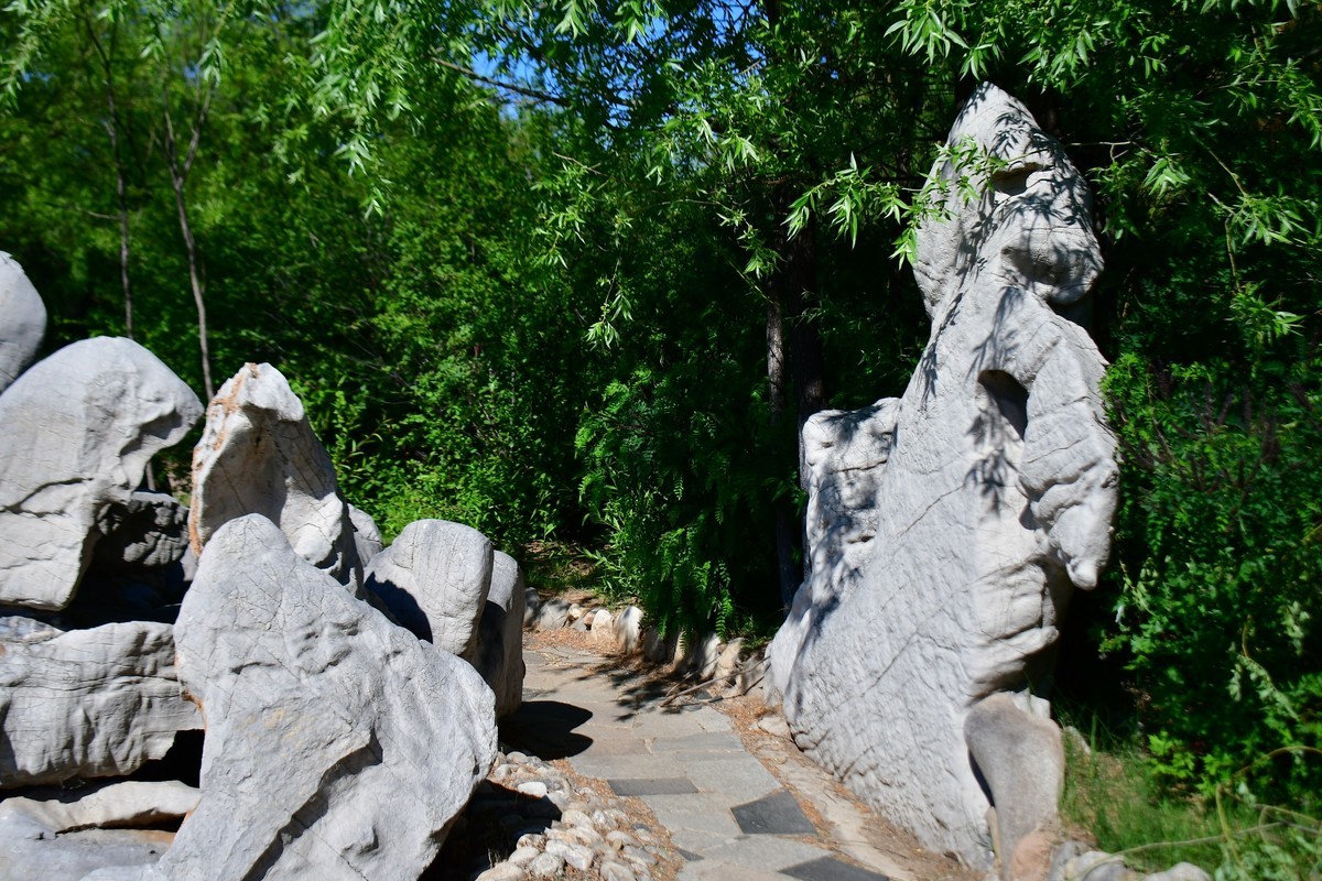 夏日里的绿意浓浓